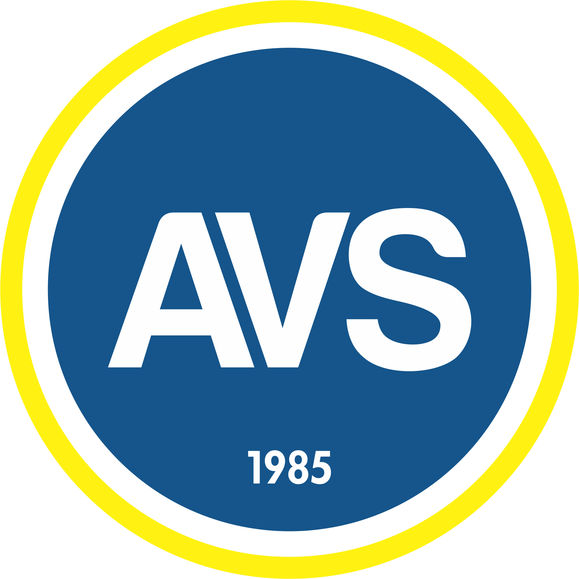 What Is The MLC 2006 AVS