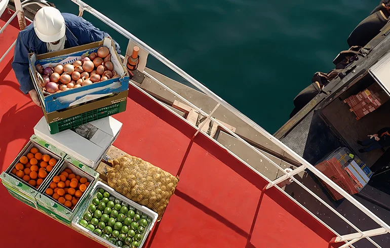 Provisions Supply & Management
